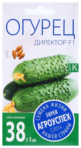 Агроуспех огурец Директор F1