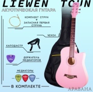Гитара акустическая Liewen Toun TS38 розовый