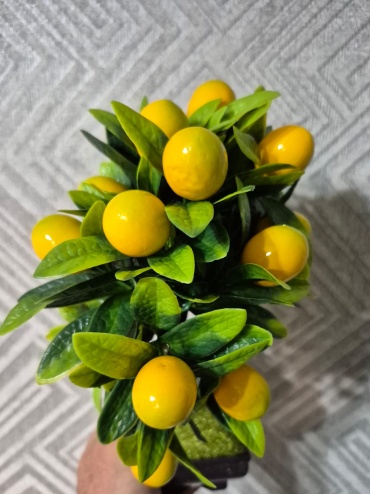 Фото 3