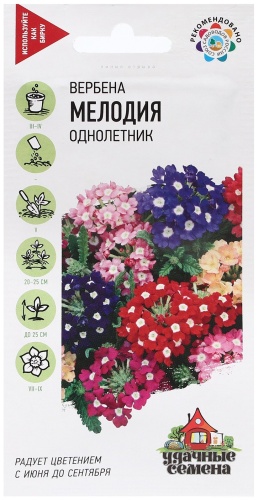 Удачные семена вербена Мелодия