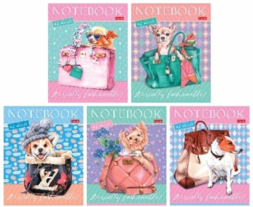 Общая тетрадь Hatber Fashion Dogs, 48 л, А5, клетка, мягкая обложка, 1 шт