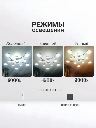Фото 3