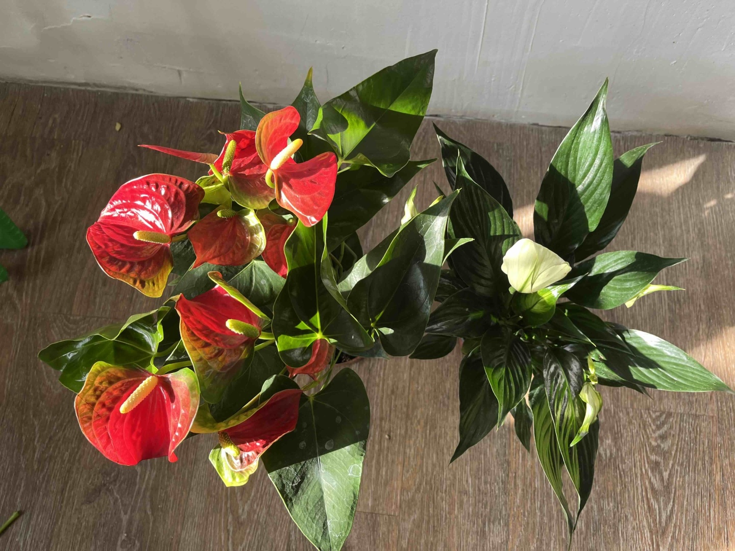 Фото 4