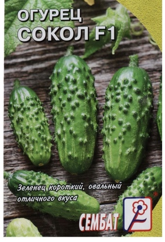 Огурец Сокол