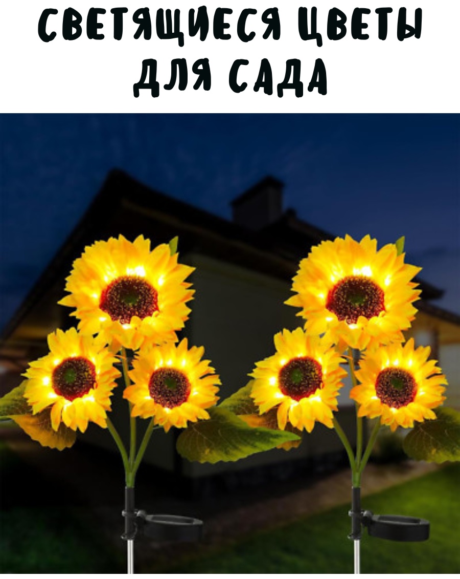 Фото 3