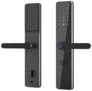 SmartLock электромеханический SmartLock RF433