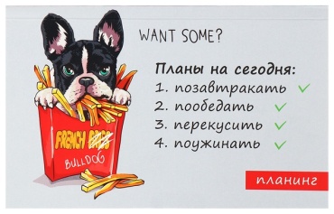 Планинг Calligrata Планировали планировали да не выпланировали, A6, 50 л, мультиколор