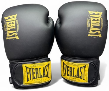 Боксерские перчатки Everlast 14 oz черный