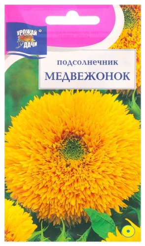 Урожай удачи подсолнух декоративный «Медвежонок»