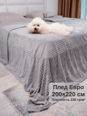 Плед АРИАКом 200х220 см, велсофт, плюш, серый, светло - серый