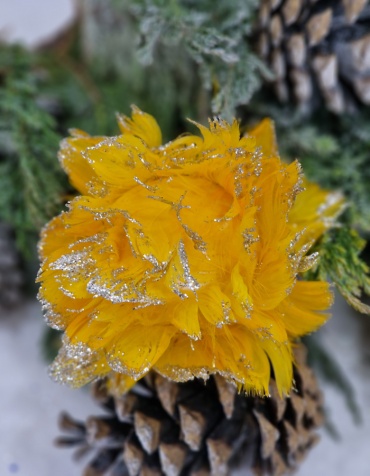 Фото 6