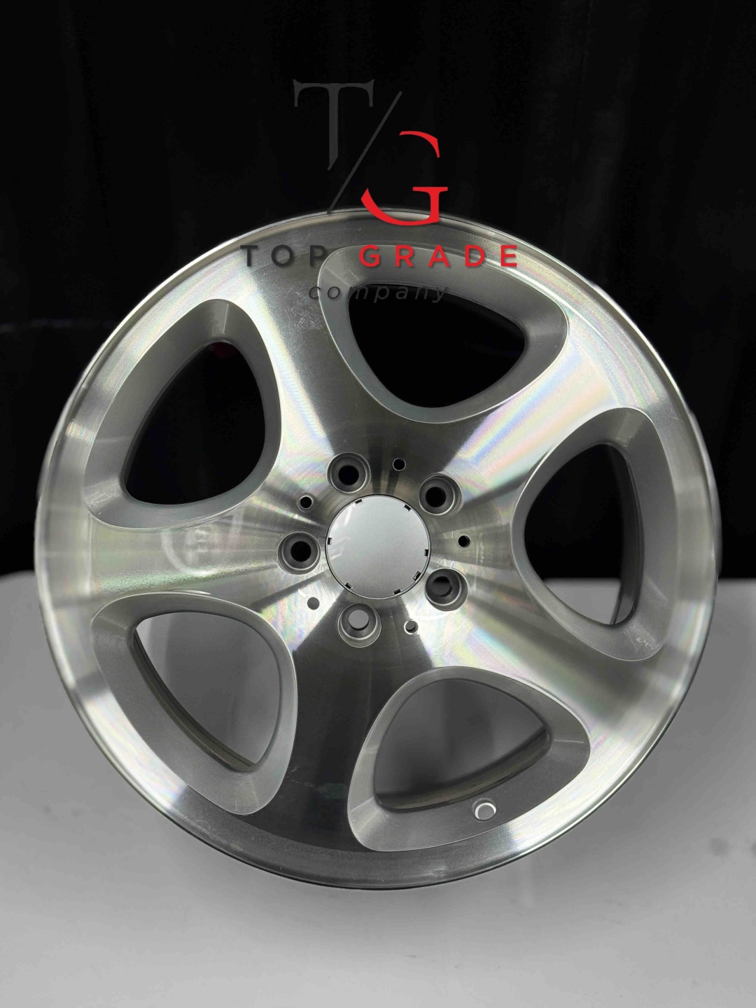 Top Grade Diski0171 8x17/5x112 D66.56 ET35 4 диска серебристый, серый