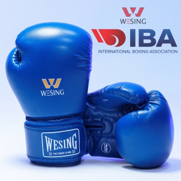 Боксерские перчатки WESING 12 oz синий