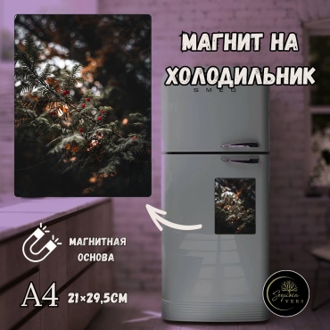 Sequoia VERS магнит-сувенир Дыхание природы. природа, леса. А4 1 шт