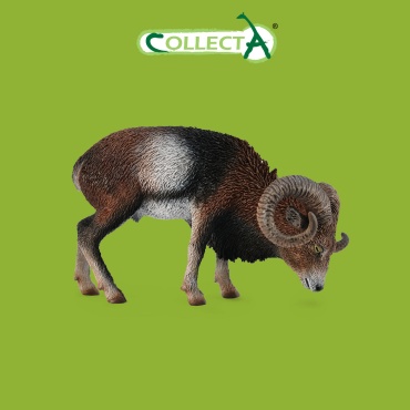 Фигурка Collecta Европейский муфлон 5.5 см 1 шт