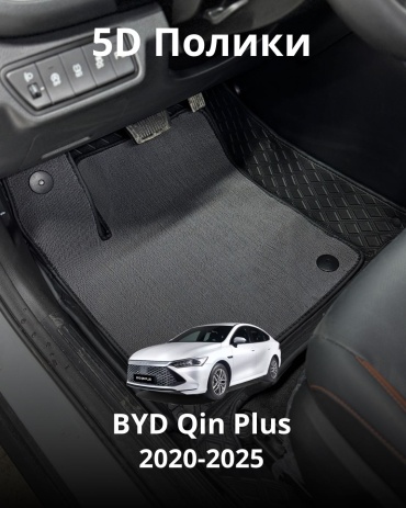 30360523_393109706 BYD Qin Plus 2020-2025 серый, черный