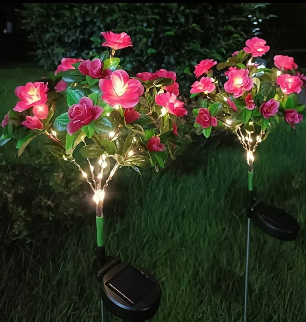 Фото 9