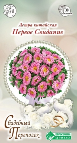 Евро-Семена астра Астра китайская Первое Свидание