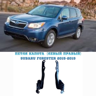 OEM петля 57260SG0009P Subaru Forester