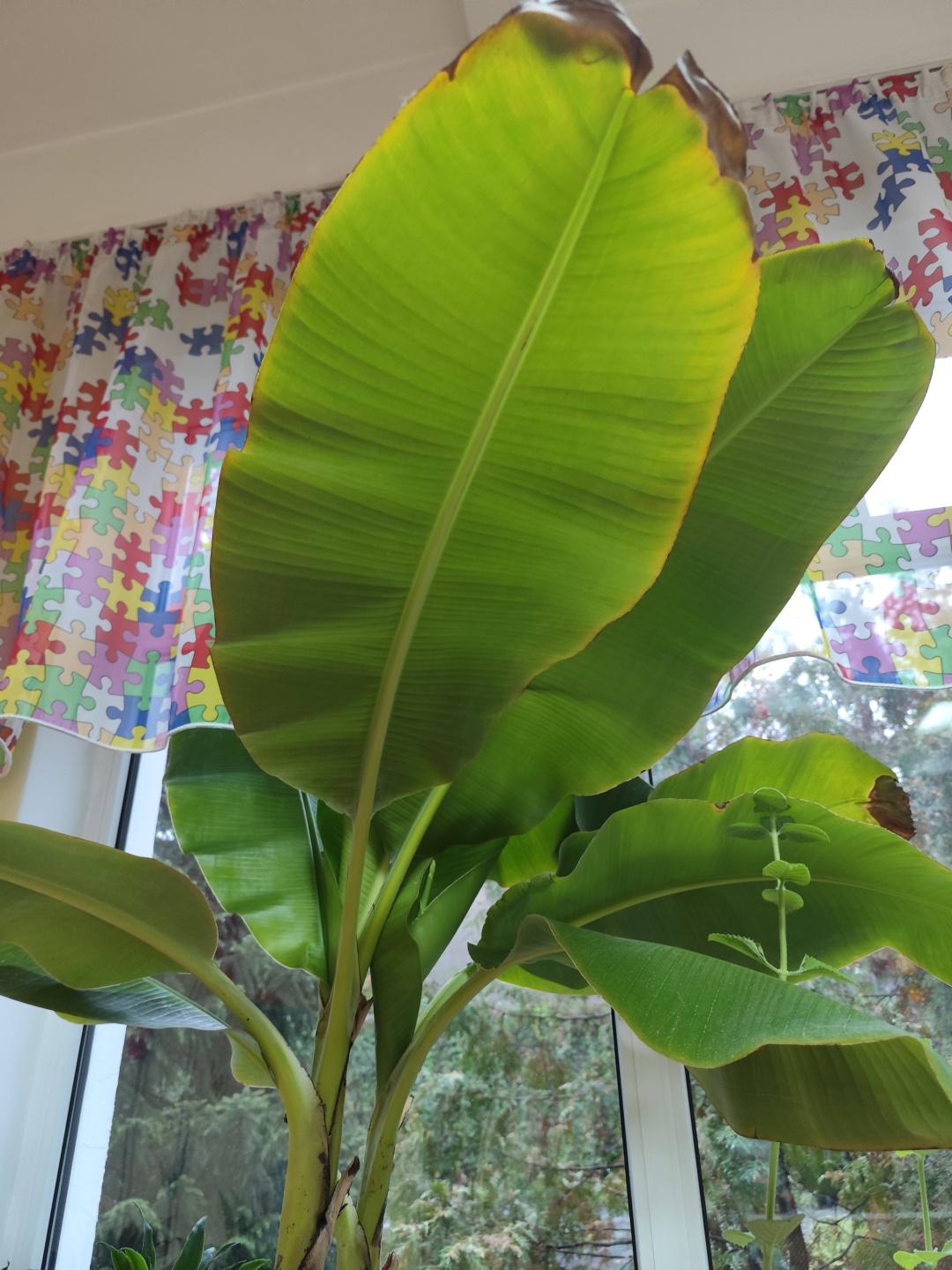 Фото 3