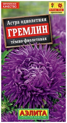 Аэлита астра Гремлин темно фиолетовая