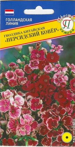 Престиж гвоздика китайская "Персидский ковер"