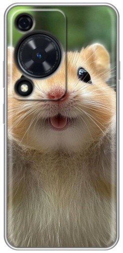 Чехол BAIKO для Huawei Nova Y72, Nova Y63 рисунок