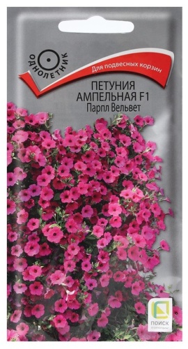 Поиск петуния "Парпл Вельвет"