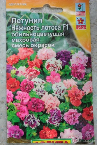 АЭЛИТА петуния Нежность лотоса