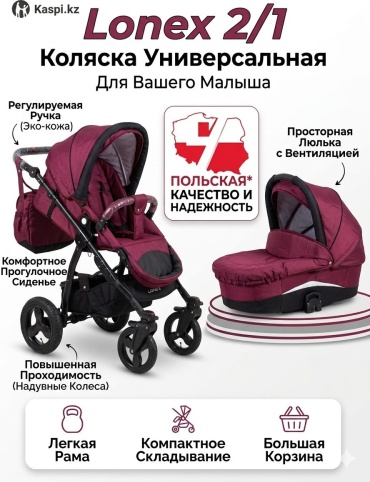 Коляска универсальная 2 в 1 Speedy Lonex 2/1 bordo, бордовый
