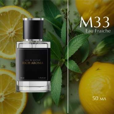 RICH AROMA M-33 NEW парфюмерная вода EDP 50 мл, для мужчин