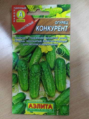 Аэлита огурец Конкурент