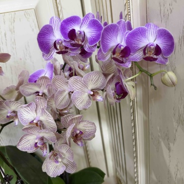 Фото 3