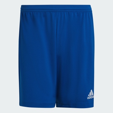 Спортивные шорты adidas синий