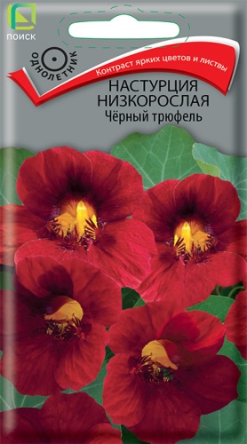 Поиск настурция низкорослая Чёрный трюфель