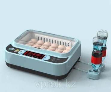 Инкубатор, вместимость: 36 шт