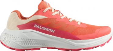 Кроссовки Salomon Alphaglide L47801700 красный