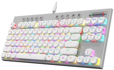 PANTEON T20 PRO BS HS White 50 белый