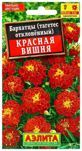 Аэлита бархатцы Красная вишня