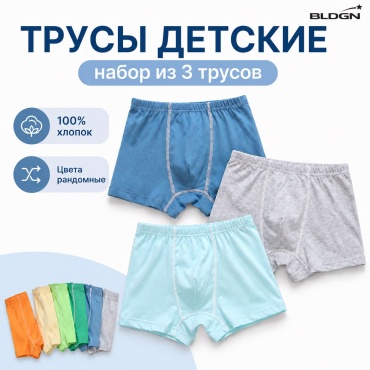 Боксеры мультиколор