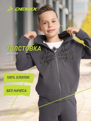 Толстовка Demix серый