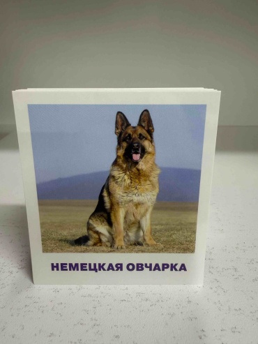 Малунова М: Развивающие карточки. Породы собак