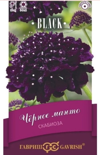 4season скабиоза Черное Манто