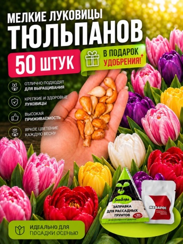 Тюльпан Микс