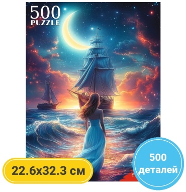 РЫЖИЙ КОТ Девушка у ночного моря 500 деталей