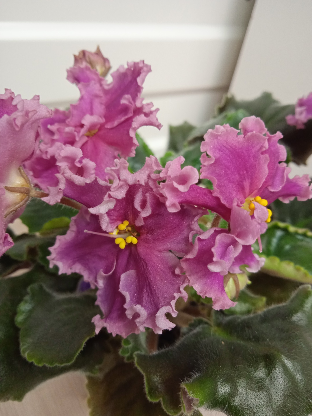 Фото 2