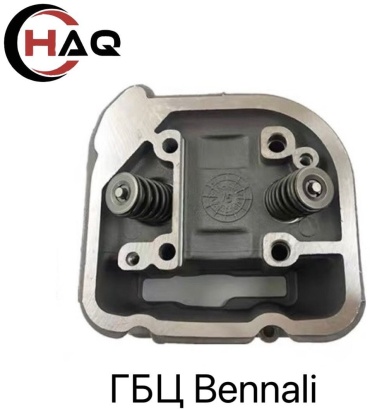 HAQ головка блока цилиндров BNL-GBZ-250-01