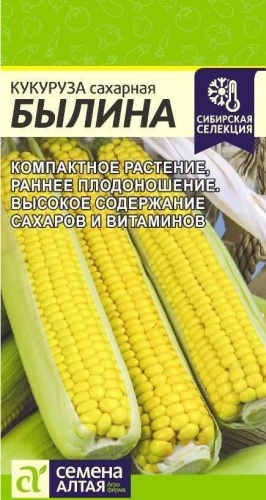 Семена Алтая кукуруза Былина