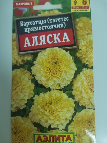 Аэлита бархатцы Аляска
