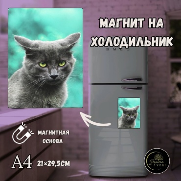Sequoia VERS магнит-сувенир катята А4 магнит на холодильник 1 шт